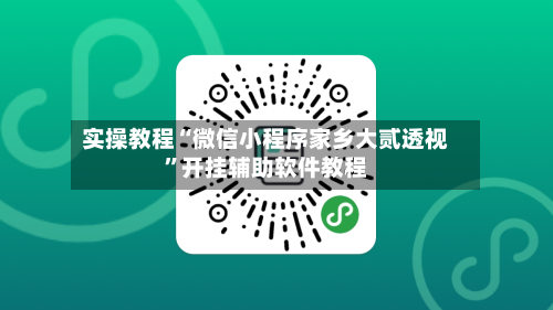 实操教程“微信小程序家乡大贰透视	”开挂辅助软件教程-第2张图片