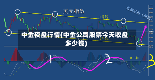 中金夜盘行情(中金公司股票今天收盘多少钱)-第3张图片