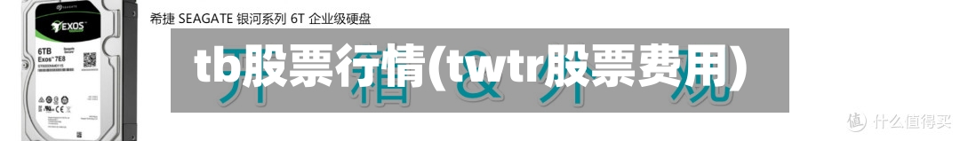 tb股票行情(twtr股票费用)