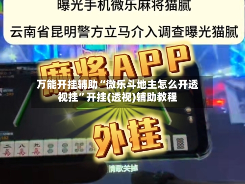 万能开挂辅助“微乐斗地主怎么开透视挂”开挂(透视)辅助教程-第3张图片