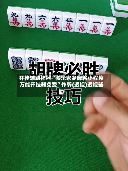 开挂辅助神器“微乐家乡麻将小程序万能开挂器免费	”作弊(透视)透视辅助-第3张图片