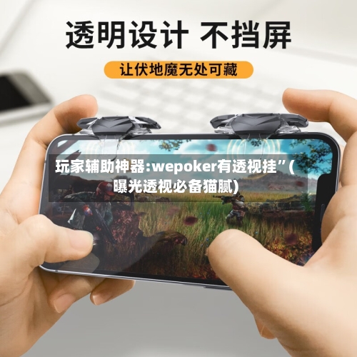 玩家辅助神器:wepoker有透视挂”(曝光透视必备猫腻)