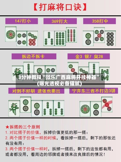 3分钟教程“微乐广西麻将开挂神器”(曝光透视必备猫腻)-第2张图片