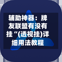 辅助神器：牌友联盟有没有挂“(透视挂)详细用法教程-第2张图片
