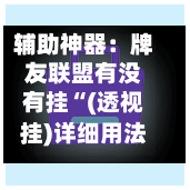辅助神器：牌友联盟有没有挂“(透视挂)详细用法教程