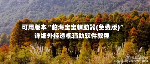 可用版本“临海宝宝辅助器(免费版)”详细外挂透视辅助软件教程