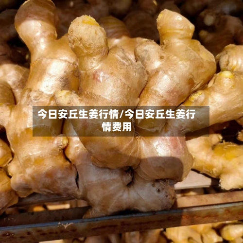 今日安丘生姜行情/今日安丘生姜行情费用-第2张图片