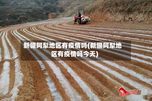 新疆阿犁地区有疫情吗(新疆阿犁地区有疫情吗今天)-第3张图片