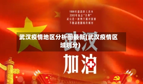 武汉疫情地区分析图最新(武汉疫情区域划分)-第2张图片