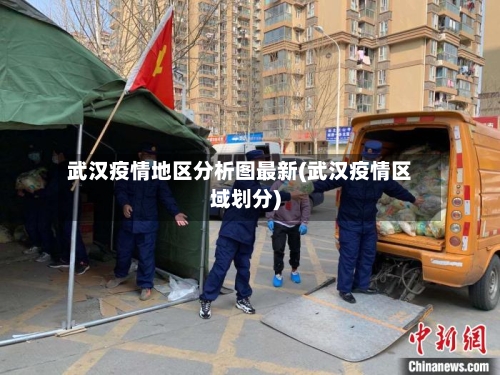 武汉疫情地区分析图最新(武汉疫情区域划分)