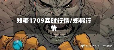 郑糖1709实时行情/郑棉行情