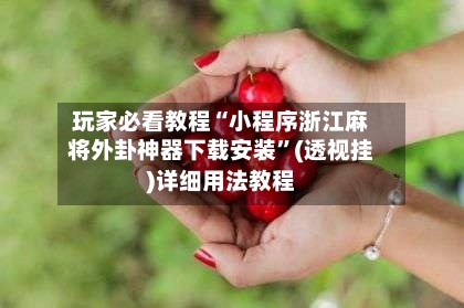 玩家必看教程“小程序浙江麻将外卦神器下载安装”(透视挂)详细用法教程-第2张图片