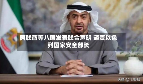阿联酋等八国发表联合声明 谴责以色列国家安全部长