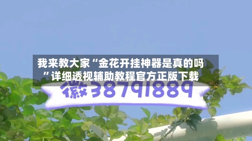我来教大家“金花开挂神器是真的吗”详细透视辅助教程官方正版下载-第3张图片