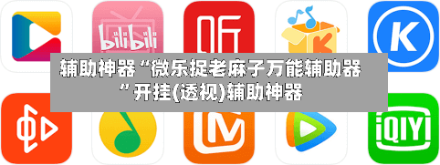 辅助神器“微乐捉老麻子万能辅助器”开挂(透视)辅助神器