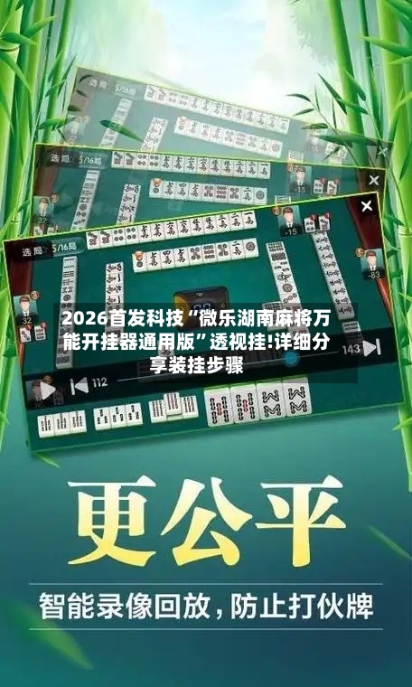 2026首发科技“微乐湖南麻将万能开挂器通用版	”透视挂!详细分享装挂步骤-第2张图片