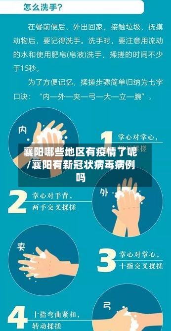 襄阳哪些地区有疫情了呢/襄阳有新冠状病毒病例吗-第2张图片