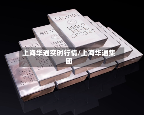 上海华通实时行情/上海华通集团