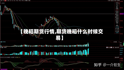 【晚稻期货行情,期货晚稻什么时候交易】-第2张图片