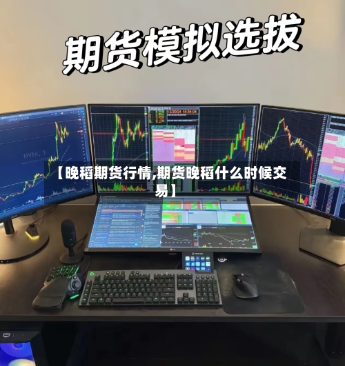 【晚稻期货行情,期货晚稻什么时候交易】