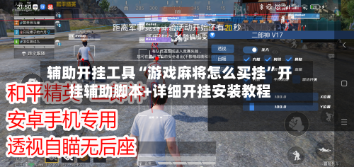 辅助开挂工具“游戏麻将怎么买挂”开挂辅助脚本+详细开挂安装教程-第3张图片