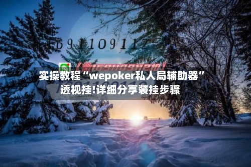 实操教程“wepoker私人局辅助器”透视挂!详细分享装挂步骤