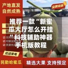 推荐一款“新蜜瓜大厅怎么开挂”科技辅助神器手机版教程-第2张图片