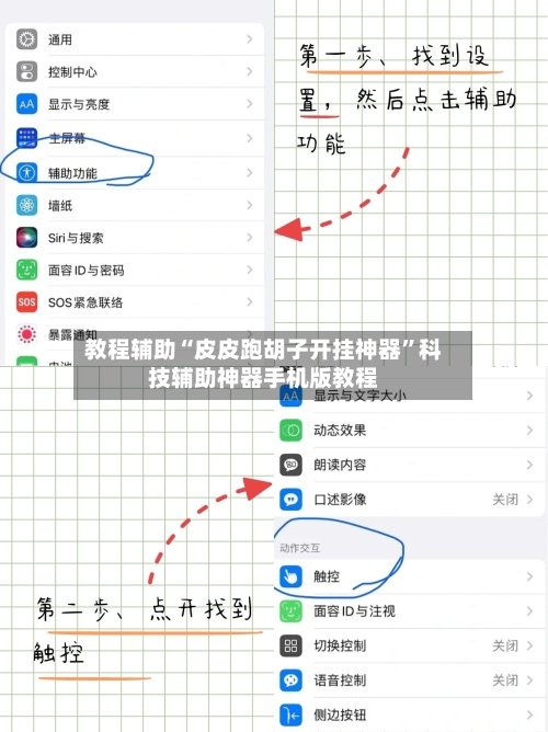 教程辅助“皮皮跑胡子开挂神器”科技辅助神器手机版教程-第3张图片