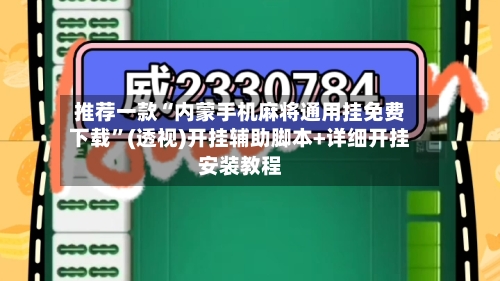 推荐一款“内蒙手机麻将通用挂免费下载”(透视)开挂辅助脚本+详细开挂安装教程-第2张图片