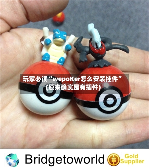 玩家必读“wepoKer怎么安装挂件”(原来确实是有插件)-第2张图片