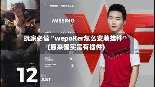 玩家必读“wepoKer怎么安装挂件”(原来确实是有插件)-第3张图片
