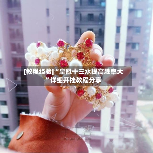[教程经验]“皇冠十三水提高胜率大”详细开挂教程分享-第2张图片