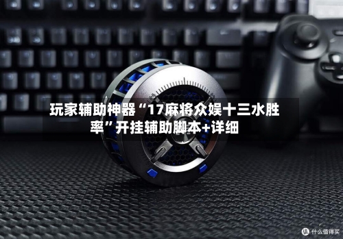 玩家辅助神器“17麻将众娱十三水胜率”开挂辅助脚本+详细-第3张图片