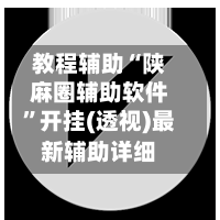 教程辅助“陕麻圈辅助软件	”开挂(透视)最新辅助详细-第2张图片