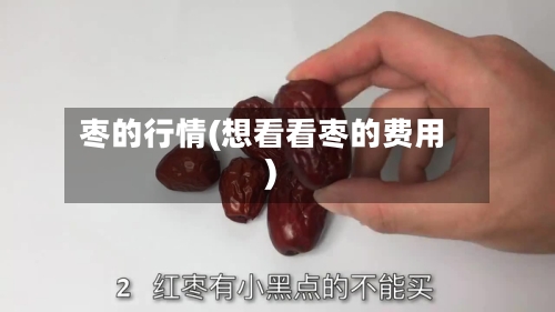 枣的行情(想看看枣的费用)-第3张图片