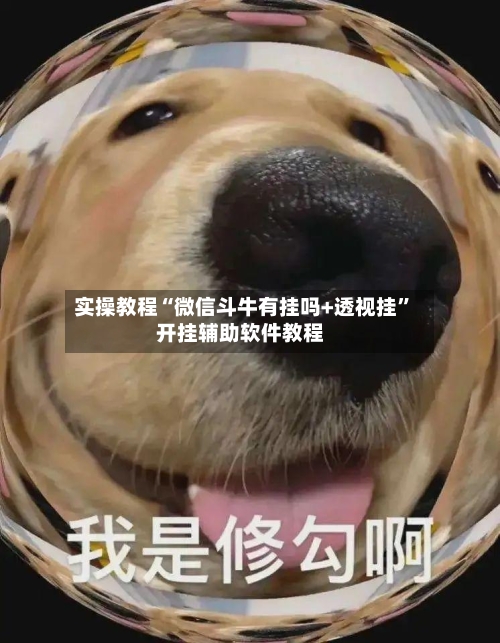 实操教程“微信斗牛有挂吗+透视挂”开挂辅助软件教程-第2张图片