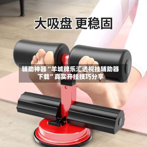 辅助神器“羊城牌乐汇透视挂辅助器下载”真实开挂技巧分享