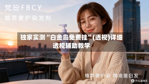 独家实测“白金岛免费挂”(透视)详细透视辅助教学-第3张图片