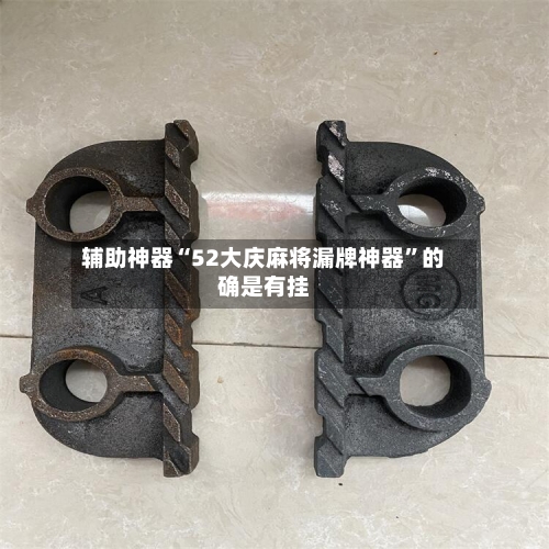 辅助神器“52大庆麻将漏牌神器	”的确是有挂-第2张图片