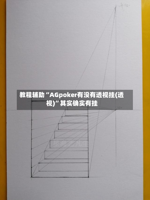 教程辅助“AGpoker有没有透视挂(透视)”其实确实有挂-第2张图片