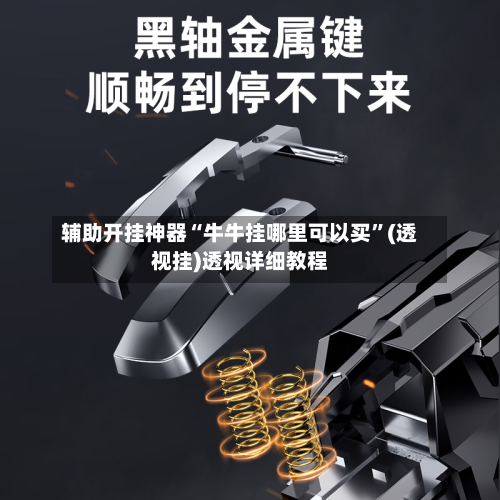 辅助开挂神器“牛牛挂哪里可以买”(透视挂)透视详细教程