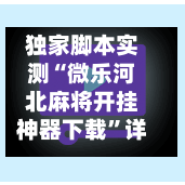 独家脚本实测“微乐河北麻将开挂神器下载”详细辅助软件教程-第2张图片