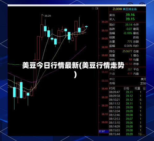 美豆今日行情最新(美豆行情走势)-第3张图片