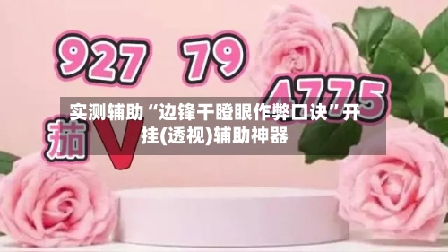 实测辅助“边锋干瞪眼作弊口诀	”开挂(透视)辅助神器-第2张图片