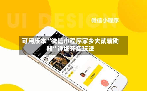 可用版本“微信小程序家乡大贰辅助器”详细开挂玩法