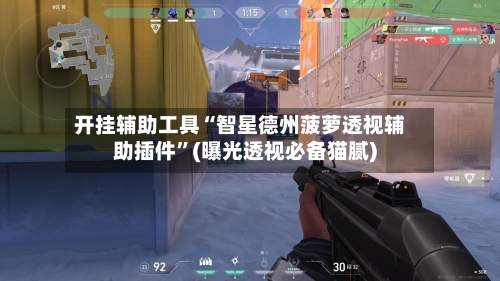 开挂辅助工具“智星德州菠萝透视辅助插件	”(曝光透视必备猫腻)-第3张图片