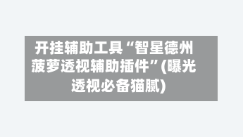 开挂辅助工具“智星德州菠萝透视辅助插件”(曝光透视必备猫腻)