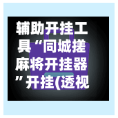 辅助开挂工具“同城搓麻将开挂器”开挂(透视)辅助-第2张图片