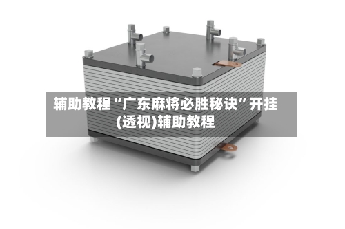 辅助教程“广东麻将必胜秘诀”开挂(透视)辅助教程-第3张图片