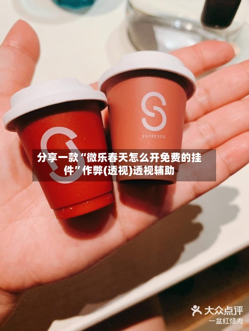 分享一款“微乐春天怎么开免费的挂件”作弊(透视)透视辅助-第2张图片